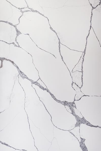 Bianco-Carbonio CounterTop